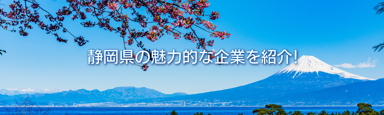 静岡県の魅力的な企業紹介